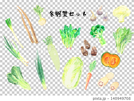 冬野菜水彩イラストセット ベクター 冬野菜水彩イラストセット ベクター 140949708