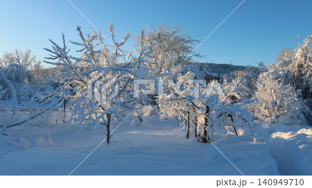 A snow-covered garden on a bright sunny morning. The branches of the garden trees and shrubs are covered in fluffy white snow, and deep drifts lie on the ground. A quiet winter rural landscape. A snow-covered garden on a bright sunny morning. The branches of the garden trees and shrubs are covered in fluffy white snow, and deep drifts lie on the ground. A quiet winter rural landscape. 140949710