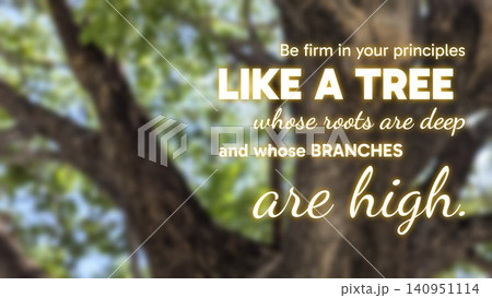 A motivational quote focuses on principles, firmness, deep roots, high branches. Text is overlaid on a blurred image of a large tree, green canopy, suggesting stability, spiritual growth, wisdom. A motivational quote focuses on principles, firmness, deep roots, high branches. Text is overlaid on a blurred image of a large tree, green canopy, suggesting stability, spiritual growth, wisdom. 140951114