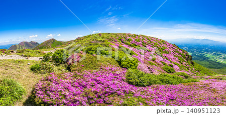 ミヤマキリシマ満開の山々_大分県 くじゅう連山 ミヤマキリシマ満開の山々_大分県 くじゅう連山 140951123