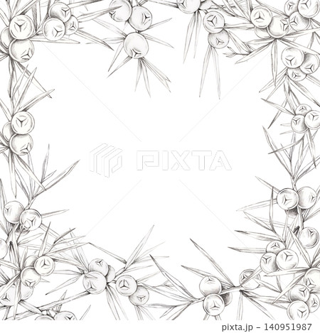 ray pencil juniper twigs with berries frame clipart surrounding the page for certificates, invitations, greeting cards, branding, packaging, stationery, calendars and printable templates 140951987