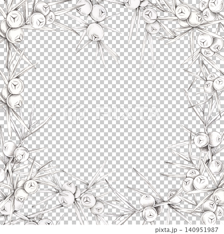 ray pencil juniper twigs with berries frame clipart surrounding the page for certificates, invitations, greeting cards, branding, packaging, stationery, calendars and printable templates 140951987