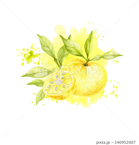 Yellow yuzu fruits, green foliage and citrus slice watercolor composition clipart with splatter accents for juice packaging, cosmetic labels, recipe books, invitations, menus and advertising. 140952007