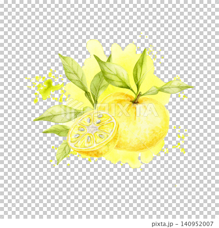 Yellow yuzu fruits, green foliage and citrus slice watercolor composition clipart with splatter accents for juice packaging, cosmetic labels, recipe books, invitations, menus and advertising. 140952007
