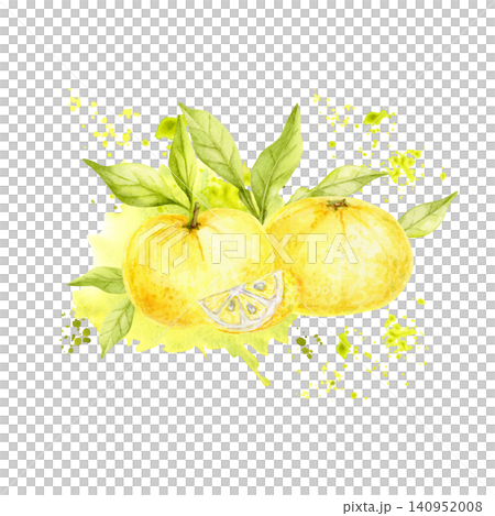 Yellow yuzu fruits, green leaves and citrus slice watercolor composition clipart with paint splashes for food packaging, beverage labels, recipe cards, menus, branding, stationery and kitchen decor Yellow yuzu fruits, green leaves and citrus slice watercolor composition clipart with paint splashes for food packaging, beverage labels, recipe cards, menus, branding, stationery and kitchen decor 140952008