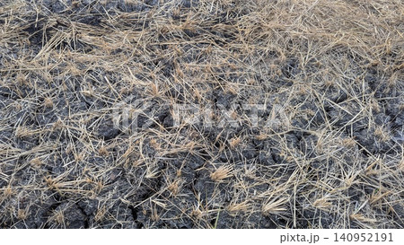 A top down close up view captures a field of dry cracked earth covered with remnants of harvested straw. The parched soil texture creates a rough organic pattern, offering a unique rustic agricultural A top down close up view captures a field of dry cracked earth covered with remnants of harvested straw. The parched soil texture creates a rough organic pattern, offering a unique rustic agricultural 140952191