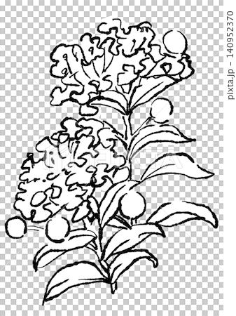 咲き誇るサルスベリの花の手描きの線画イラスト 咲き誇るサルスベリの花の手描きの線画イラスト 140952370