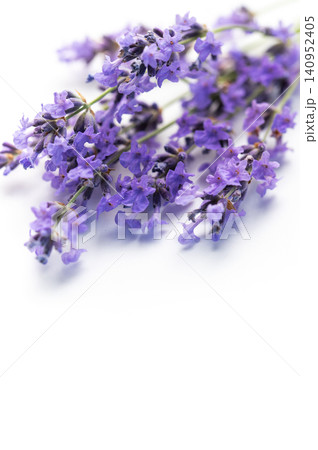 Lavender flowers creating relaxing aromatherapy herbal concept 140952405