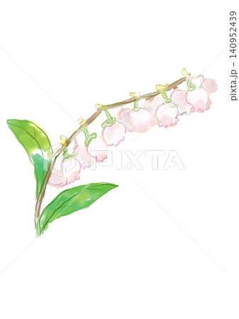 咲き誇るブルーベリーの花の手描きの水彩イラスト 咲き誇るブルーベリーの花の手描きの水彩イラスト 140952439