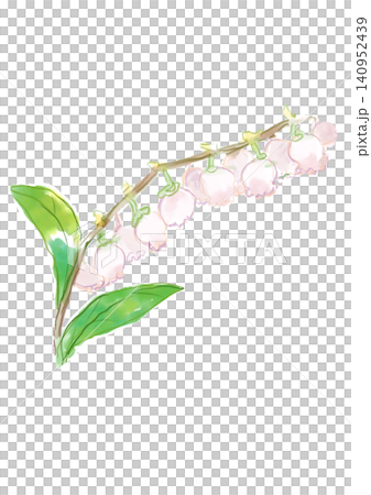 咲き誇るブルーベリーの花の手描きの水彩イラスト 咲き誇るブルーベリーの花の手描きの水彩イラスト 140952439