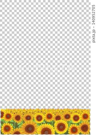 Summer sunflower field landscape Summer sunflower field landscape 140952705
