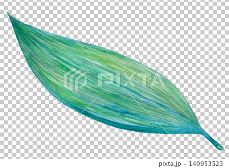 Watercolor illustration, hand-drawn illustration, bamboo leaves Watercolor illustration, hand-drawn illustration, bamboo leaves 140953523