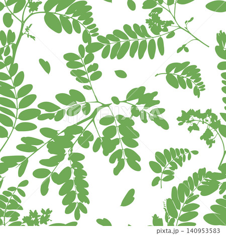 Acacia tree branches and leaves seamless pattern Hand drawn. Not AI, vector illustration. Acacia tree branches and leaves seamless pattern Hand drawn. Not AI, vector illustration. 140953583