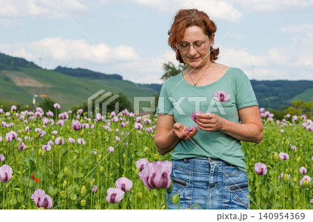 Woman standing in a blooming pink poppy field and holding delicate poppy petals in her hands. Woman standing in a blooming pink poppy field and holding delicate poppy petals in her hands. 140954369