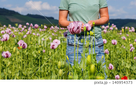 Woman walking through pink poppy field in summer countryside. Woman walking through pink poppy field in summer countryside. 140954373