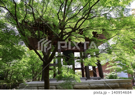 新緑の緑の青もみじ樹々の森と鐘撞堂のある寺の境内の風景 140954684