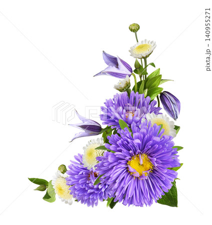 Purple flowers of asters and clematis in a corner arrangement isolated on white Purple flowers of asters and clematis in a corner arrangement isolated on white 140955271