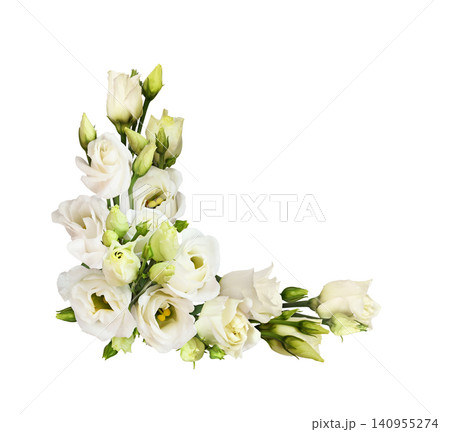 White eustoma flowers in a corner arrangement isolated on white White eustoma flowers in a corner arrangement isolated on white 140955274