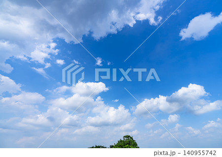 初夏の青空と雲と樹木 初夏の青空と雲と樹木 140955742