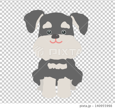 Miniature Schnauzer sitting and smiling Miniature Schnauzer sitting and smiling 140955998