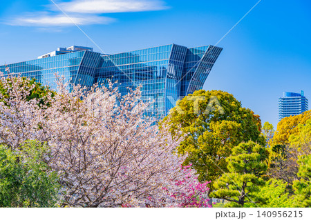 【神奈川県】みなとみらい 臨港パークの桜とパシフィコ横浜ノース 【神奈川県】みなとみらい 臨港パークの桜とパシフィコ横浜ノース 140956215