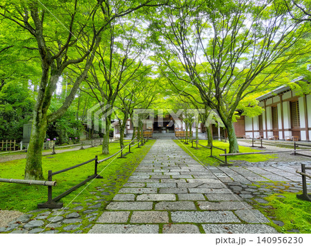 吞山観音寺 吞山観音寺 140956230