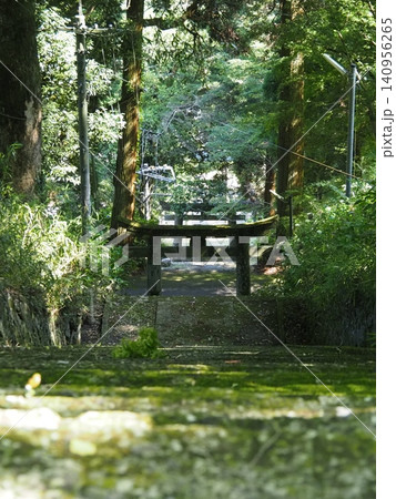 神社の鳥居へ続く森の道 140956265