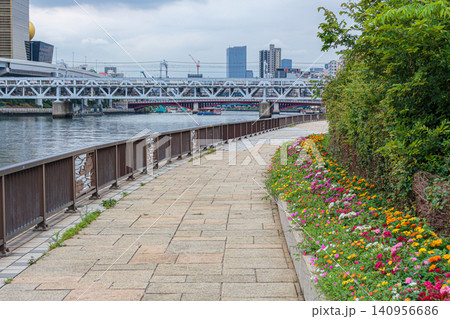 隅田川沿いの遊歩道と花壇のある東京風景 隅田川沿いの遊歩道と花壇のある東京風景 140956686