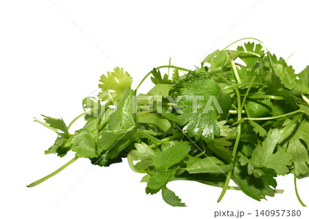 fresh cilantro static display on isolated white background with vibrant green leaves and stems top-down perspective for food photography and culinary arts use cases. fresh cilantro static display on isolated white background with vibrant green leaves and stems top-down perspective for food photography and culinary arts use cases. 140957380