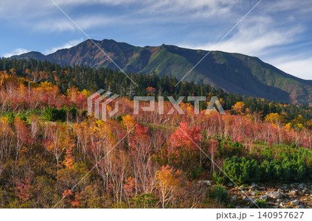 北海道美瑛・上富良野 十勝岳散策路から望む富良野岳と色鮮やかな紅葉の絶景 観光素材 北海道美瑛・上富良野 十勝岳散策路から望む富良野岳と色鮮やかな紅葉の絶景 観光素材 140957627