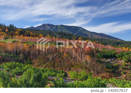 北海道美瑛・上富良野 十勝岳散策路から望む富良野岳と色鮮やかな紅葉の絶景 観光素材 北海道美瑛・上富良野 十勝岳散策路から望む富良野岳と色鮮やかな紅葉の絶景 観光素材 140957637