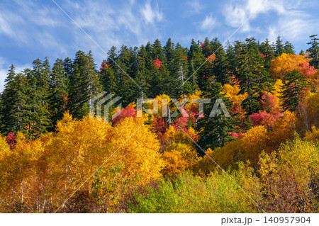 北海道上富良野 十勝岳温泉周辺の色鮮やかな紅葉 秋に染まる山の自然風景 観光素材 北海道上富良野 十勝岳温泉周辺の色鮮やかな紅葉 秋に染まる山の自然風景 観光素材 140957904
