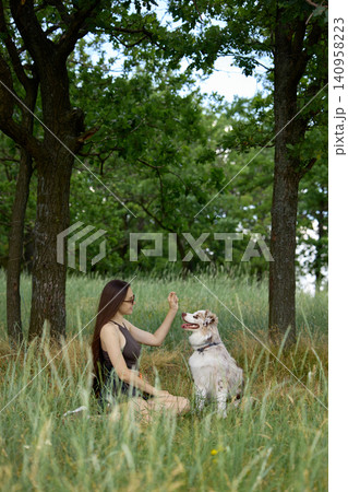 Woman teaching dog command in tall grass during summer walk Woman teaching dog command in tall grass during summer walk 140958223