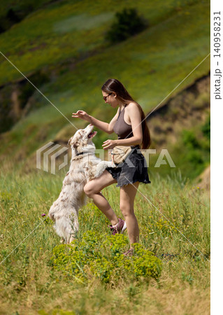 Woman training dog with treat reward in sunny countryside meadow. Woman training dog with treat reward in sunny countryside meadow. 140958231
