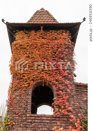 Old tower covered in ivy during fall season 140958390
