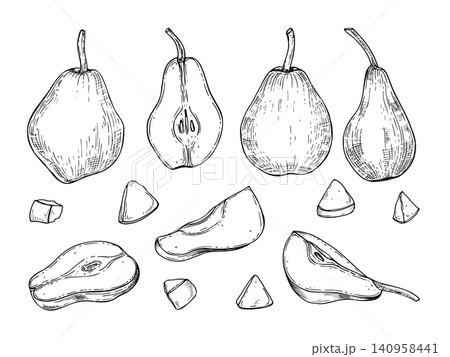 Pear fruit set with whole and sliced pieces hand drawn etching. Fresh organic fruits vector isolated illustration. Food elements for culinary ingredient, product label or healthy diet menu. Pear fruit set with whole and sliced pieces hand drawn etching. Fresh organic fruits vector isolated illustration. Food elements for culinary ingredient, product label or healthy diet menu. 140958441