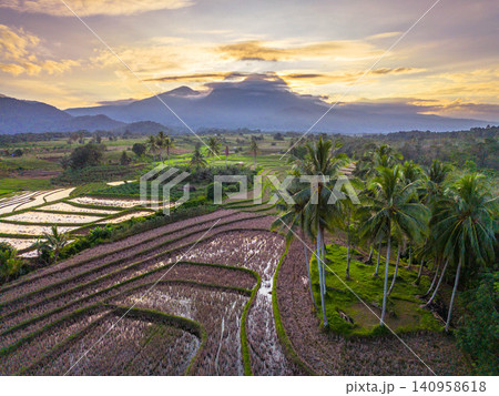 Terraced Rice Fields at Sunrise in Indonesia. Beautiful panoramic view of terraced rice fields surrounded by lush tropical greenery and palm trees Terraced Rice Fields at Sunrise in Indonesia. Beautiful panoramic view of terraced rice fields surrounded by lush tropical greenery and palm trees 140958618