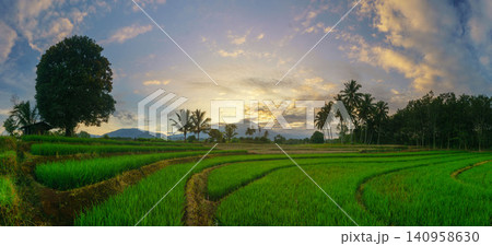 Terraced Rice Fields at Sunrise in Indonesia. Beautiful panoramic view of terraced rice fields surrounded by lush tropical greenery and palm trees 140958630