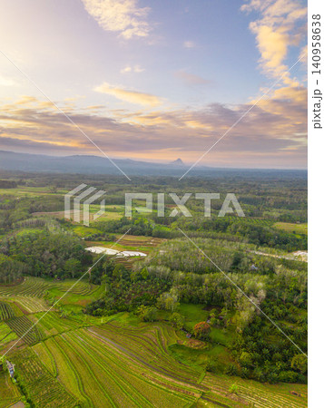 Terraced Rice Fields at Sunrise in Indonesia. Beautiful panoramic view of terraced rice fields surrounded by lush tropical greenery and palm trees Terraced Rice Fields at Sunrise in Indonesia. Beautiful panoramic view of terraced rice fields surrounded by lush tropical greenery and palm trees 140958638