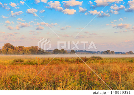 Summer landscape with green misty meadow, trees and sky. Fog on the grassland 140959351