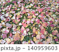 colorful leaves on the ground 140959603