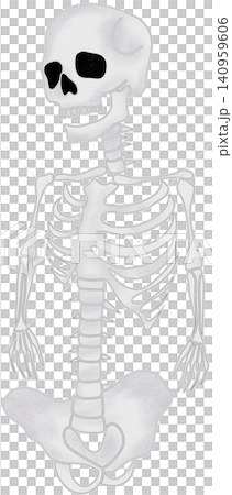 halloween spooky skeleton halloween spooky skeleton 140959606