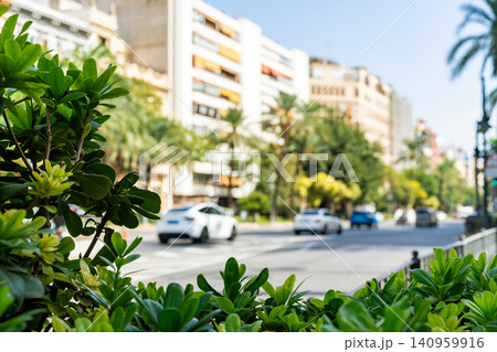 Green Urban Boulevard in Valencia Spain on a Sunny Summer Day Green Urban Boulevard in Valencia Spain on a Sunny Summer Day 140959916