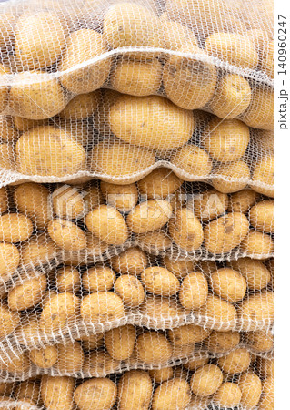 raw galician potatoes in mesh sacks background raw galician potatoes in mesh sacks background 140960247