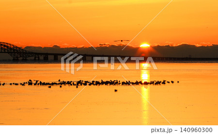 Sunrise Over the Great South Bay With Bridge Reflecting on Water With Seagulls Flying Sunrise Over the Great South Bay With Bridge Reflecting on Water With Seagulls Flying 140960300