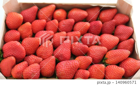 Large fresh strawberries in wooden crate on white table with rich summer harvest Large fresh strawberries in wooden crate on white table with rich summer harvest 140960571