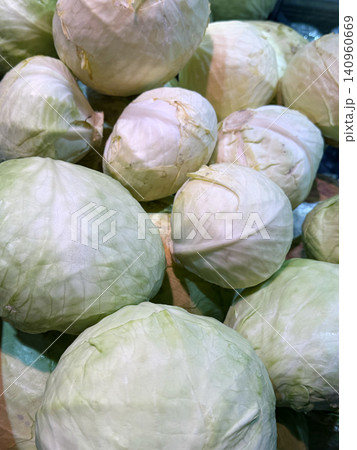 Close up photo of organic white cabbage, selective focus. Close up photo of organic white cabbage, selective focus. 140960669