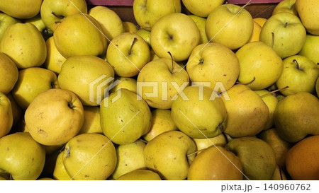 isolated yellow apples. bunch of whole fruits. ripe apples isolated on a white background with a clipping path. 140960762