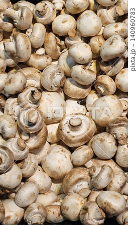 White Button mushroom or Champignon mushroom Agaricus bisporus on wooden plate, Food ingredient, Table top view White Button mushroom or Champignon mushroom Agaricus bisporus on wooden plate, Food ingredient, Table top view 140960783