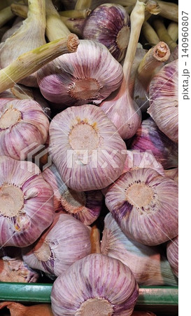 Fresh purple garlic heads at a French farmers market 140960807